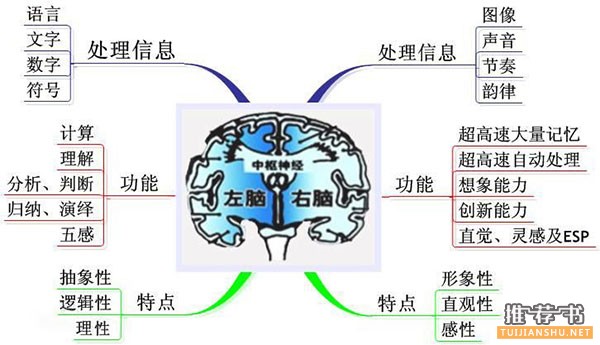 人类为什么要『读书』？