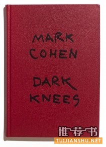 《Dark Knees》，作者：Mark Cohen，出版：Le Bal/EXB（Paris）推荐人：Chris Boot，Aperture Foundation总裁。