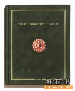 The Photography of Nature & The Nature of Photography