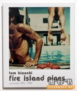 《Fire Island Pines: Polaroids 1975-1983》，作者：Tom Bianchi，出版：Damiani，推荐人：Vince Aletti，《The New Y