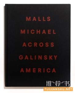 《Malls Across America》，作者：Michael Galinsky，出版：Steidl，推荐人：David Strettell，Dashwood Books创办人。