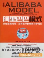 《阿里巴巴模式：改变游戏规则，在释放草根创新力中成长》