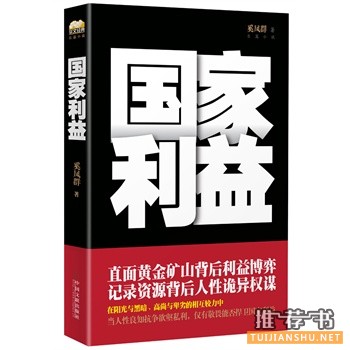 奚凤群政商小说《国家利益》最具谋略智慧的政商小说