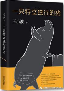 王小波作品有哪些？读懂和纪念独一无二的王小波