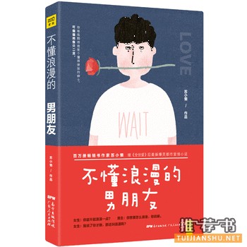 苏小懒作品《不懂浪漫的男朋友》