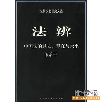 法辨：中国法的过去、现在与未来