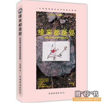 亭后西栗作品《缘来都是爱》