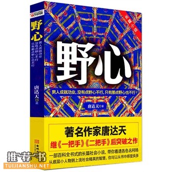 著名作家唐达天长篇社会小说《野心》看透各色名利场