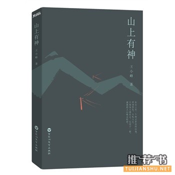 新书推荐：王小峰最新小说《山上有神》出版上市