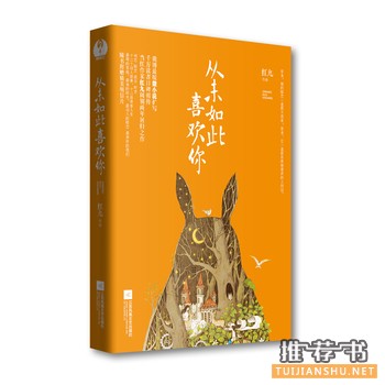 红九作品《从未如此喜欢你》