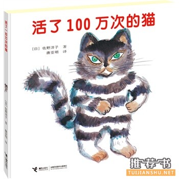 活了100万次的猫