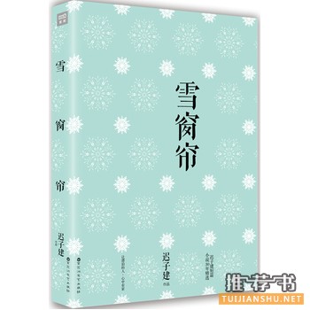 迟子建作品《雪窗帘》