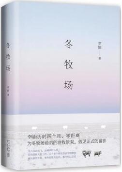 李娟阿勒泰系列 治愈焦虑的你