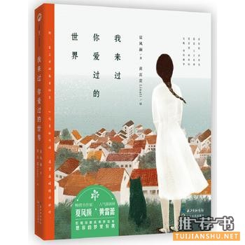 夏风颜作品《我来过你爱过的世界》