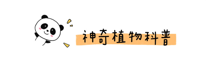 给幼儿园小朋友的儿童科普类书籍推荐