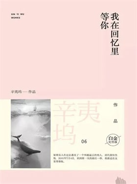 辛夷坞现代言情小说作品合集