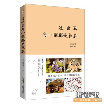 王二狗作品《这世界每一刻都是良辰》出版上市