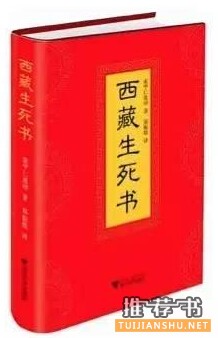 中年人面对的问题_给焦虑的中年人看的8本书