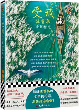 适合零碎时间读的5本国产短篇小说集