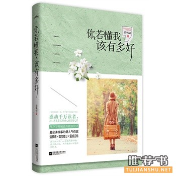 好书推荐：《你若懂我，该有多好》2014最深情动人的惊艳之作