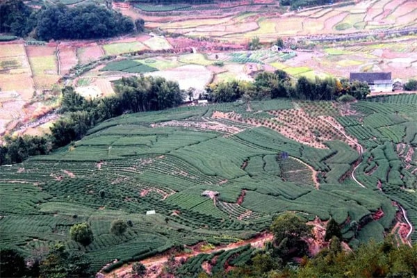 15本乡土种田类农场流都市小说推荐