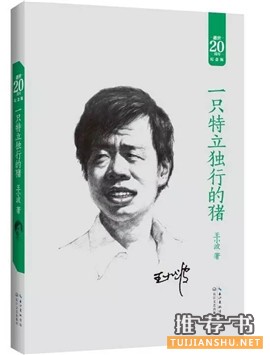 王小波作品：7本书读懂“神一样的存在”王小波