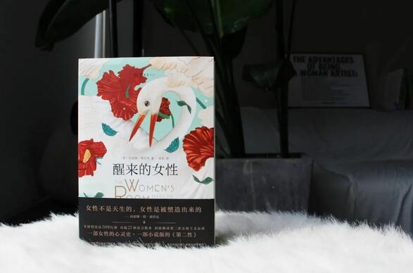 《醒来的女性》女性觉醒神作，越早读越好