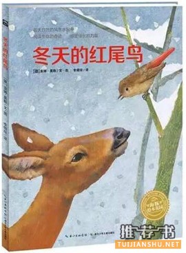 【关于雪的书单】关于冬天和雪的故事绘本推荐