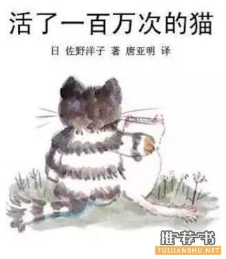 关于猫咪的书：5本喵国物语，你真的看懂了吗？