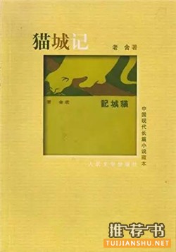 开头以为是喜剧，看到结尾却陷入沉思的7本小说