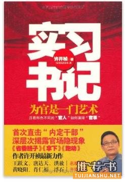 官场小说推荐《实习书记：为官是一门艺术》