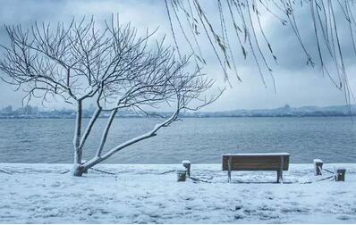 大雪里的8本书，你都读过了吗？