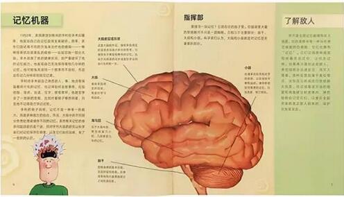 书单 | 给爱动脑、爱思考的小孩