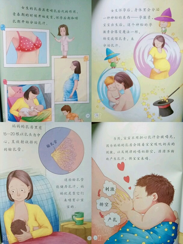 儿童性教育启蒙绘本《妈妈的乳房》