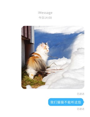 《我们猫猫不能听这些》奇幻吸猫小萌文