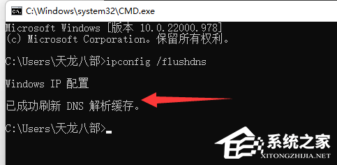 Win11系统dns异常无法上网怎么办