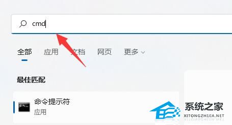 Win11硬盘读写速度很慢怎么办-Win11硬盘读写速度很慢的解决方法