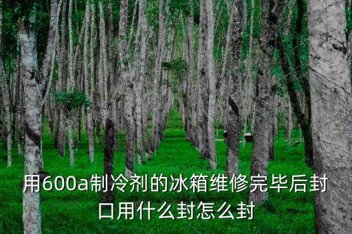 用600a制冷剂的冰箱维修完毕后封口用什么封怎么封