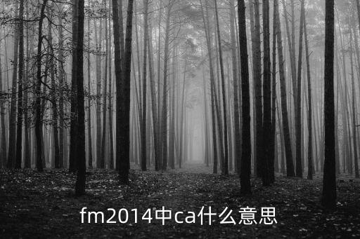 fm2014中ca什么意思