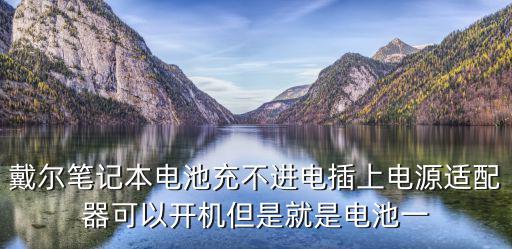 戴尔笔记本电池充不进电插上电源适配器可以开机但是就是电池一