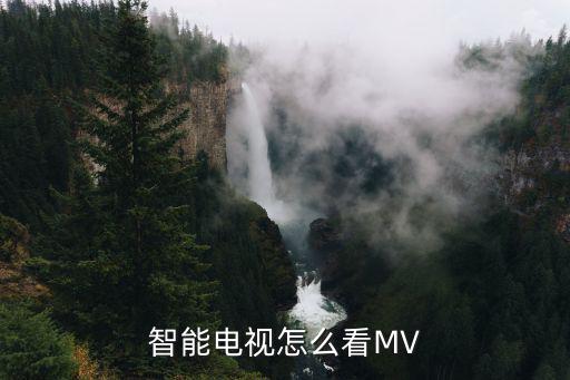 智能电视怎么看MV