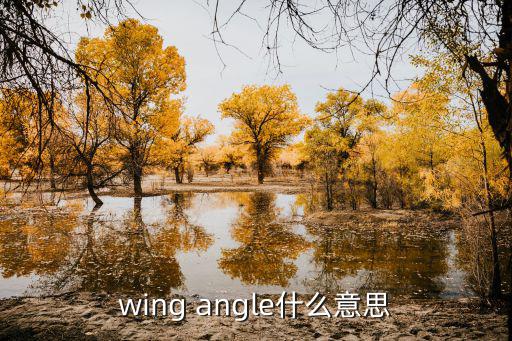 wing angle什么意思