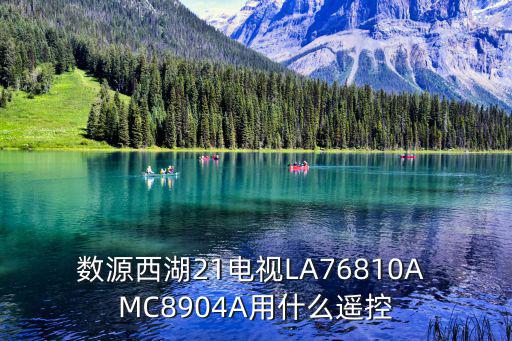 数源西湖21电视LA76810A MC8904A用什么遥控