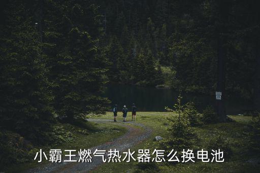 小霸王燃气热水器怎么换电池