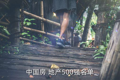 中国房 地产500强名单