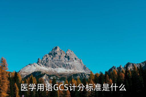 医学用语GCS计分标准是什么