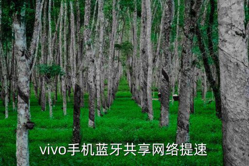 vivo手机蓝牙共享网络提速