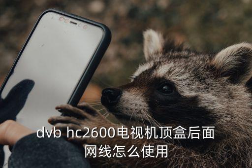 dvb hc2600电视机顶盒后面网线怎么使用