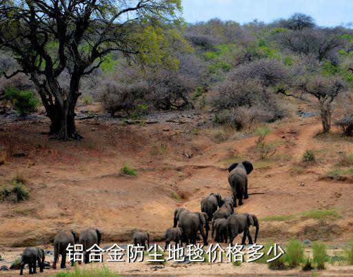 铝合金防尘地毯价格多少