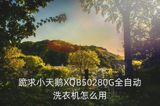 跪求小天鹅XQB50280G全自动洗衣机怎么用